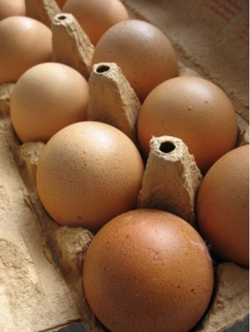 Die Abbildung zeigt einen Eierkarton befüllt mit 10 braunen ungestempelten Eiern